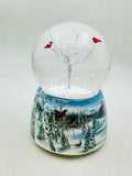#517 Water Dome