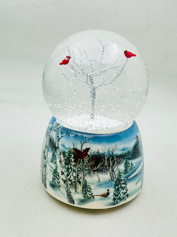 #517 Water Dome