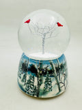 #517 Water Dome